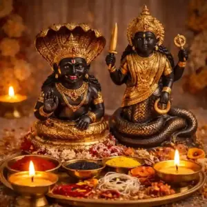 Rahu Ketu Shanti Puja ritual with pandit performing havan and mantras